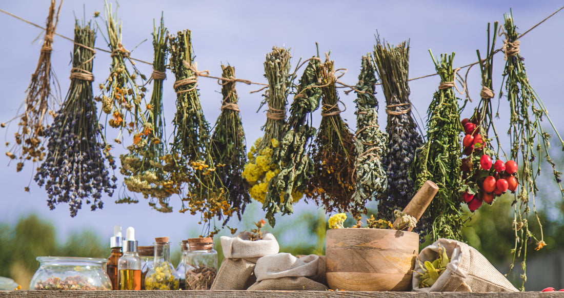 La Mia Nuova Avventura con Orti: Storie di Erbe e Tisane